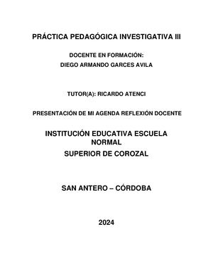 Informe De Proyecto De Democracia Diego Garcés