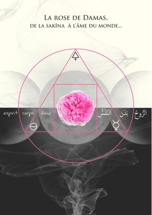 La Rose De Damas, de la Sakîna à l'âme du monde...