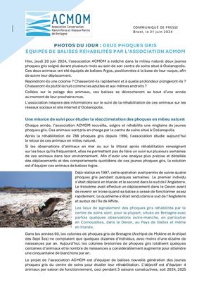 CP Deux phoques gris équipés de balises réhabillités par l'association ACMOM