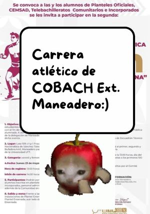 carrera atletico y reino plantae