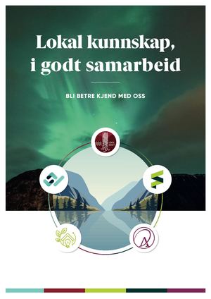 Ardal Energi Holding