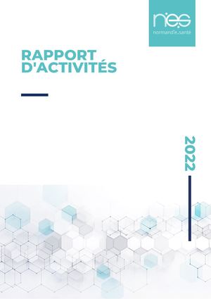 Rapport d'Activités NeS - 2022