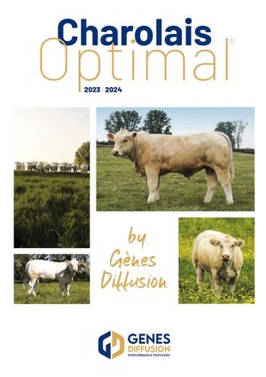 Charolais Optimal 23 24