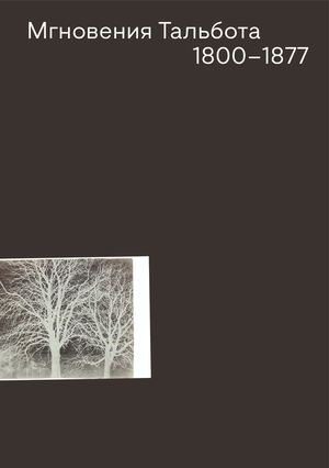 Мгновения Тальбота