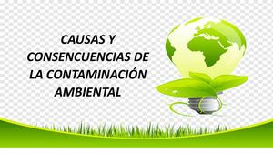 Causas y consecuencias del medío ambiente