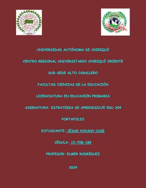Portafolio Estrategia De Aprendizaje Cesar Case 073143