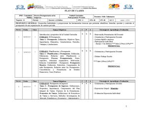 Planificación Presupuesto Privado
