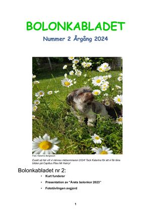 Bolonkabladet Nr 2 2024