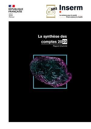 Synthèse des comptes annuels 2023