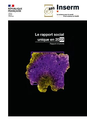 Rapport social unique 2023