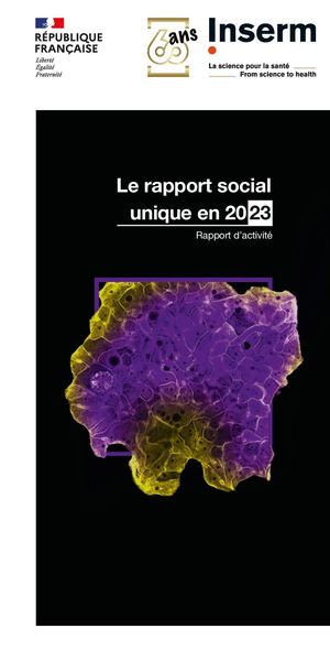 Synthèse du rapport social unique 2023