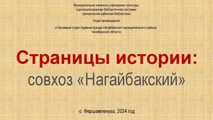 Страницы истории Нагайбакский совхоз