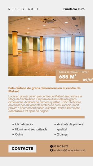 Lloguers Immobles Fundacio Iluro