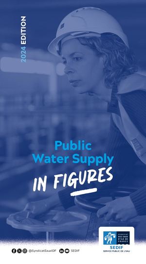Water Public Supply SEDIF - In Figures (2024 edition)