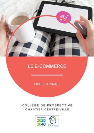Fiche variable : E Commerce
