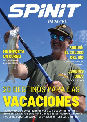 Revista Spinit N°6 2024