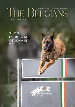 The Belgians_Giugno 2024