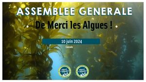 Support Ag Org 10 Juin 2024 Dif