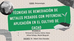 Técnicas De Remediacion De Metales Pesados Con Potencial Aplicación En El Cultivo Del Cacao