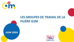Groupes De Travail Filiere G2m Juin24