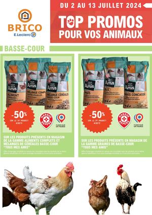 Cata Brico Calaméo 092023 (1)