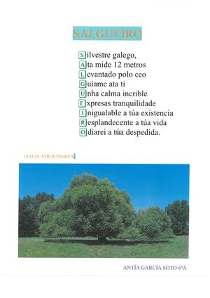 Acrosticos