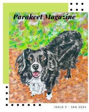 Parakeet Magazine Issue 3