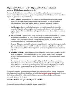 ön muhasebe programları