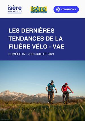 Note de veille VAE 37 - Juin-Juillet 2024