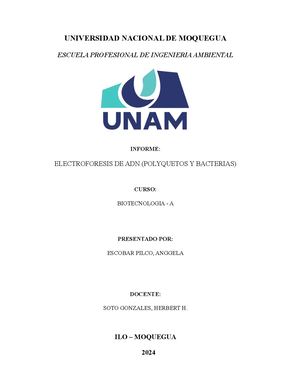 Electroforesis De Adn (Polyquetos Y Bacterias)