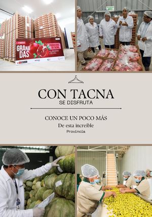 Revista Sobre Tacna Productos