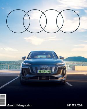 Audi 2401 Book Web