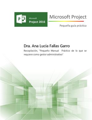 Manual Microsoft Project Professional Maestría