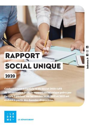 Rapport social unique 2020