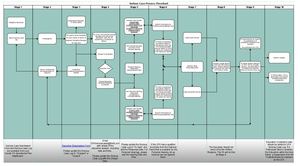 Serious Case Flowchart