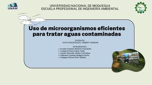 Uso De Microorganismos Eficientes