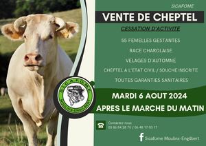 Vente de cheptel mardi 6 Aout 2024