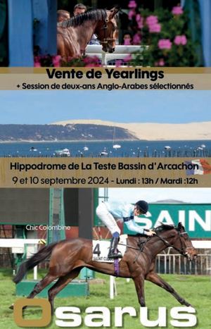 24 07 034 Ventes Osarus La Teste