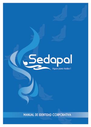 Lcv Manual Organizacional de SEDAPAL