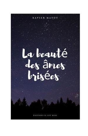 Début du roman LA BEAUTÉ DES ÂMES BRISÉES de Xavier Mayot
