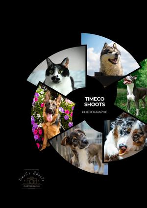 Portfolio TimeCo Shoots Shooting Animalier