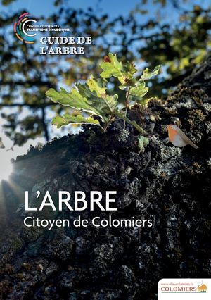 Guide de l'Arbre