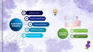 Elementos de las Auditorias Internas y Externas