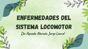 Enfermedades Del Sistema Locomotor