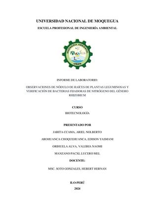Observaciones De Nódulo De Raíces De Plantas Leguminosas Y Verificación De Bacterias Fijadoras De Nitr