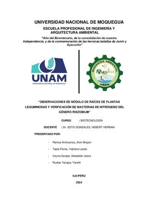 Nódulo De Raíces De Plantas Leguminosas