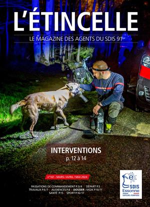 SDIS91 ETINCELLE 161