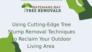 Calaméo - Using Cutting Edge Tree Stump Removal Techniques To Reclaim ...