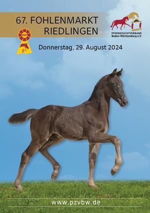 67. FOHLENMARKT RIEDLINGEN 2024