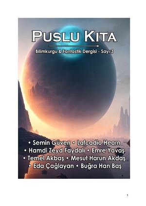Puslu Kıta 3. Sayı